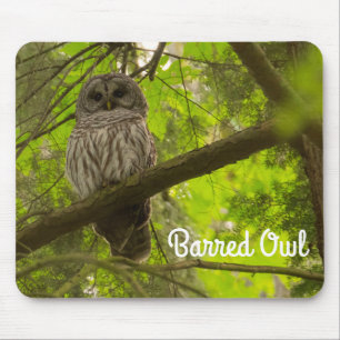Barred Owl Mouse Pad
