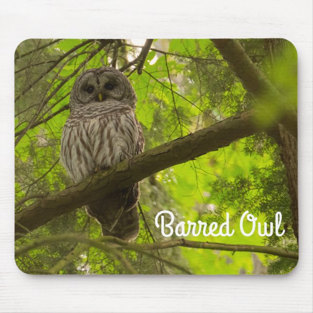 Barred Owl Mouse Pad (Front)