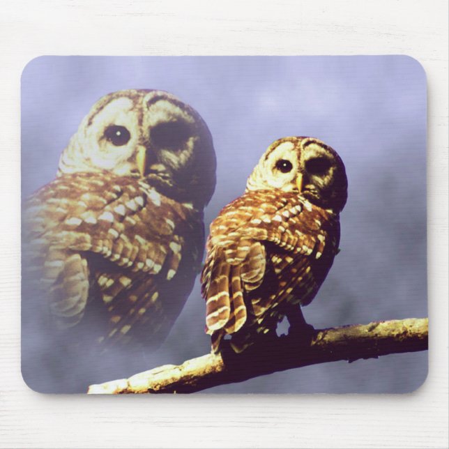 Barred Owl Mousepad (Front)