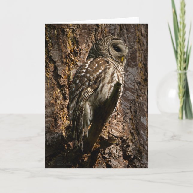 Barred Owl Mum Thank You Card (Front)