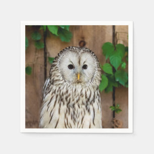 Barred Owl Napkin