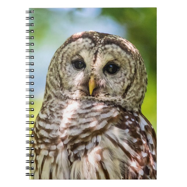Barred Owl Notebook (Front)