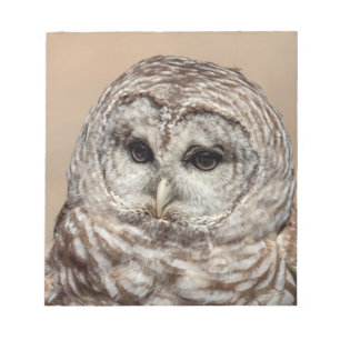 Barred Owl Notepad