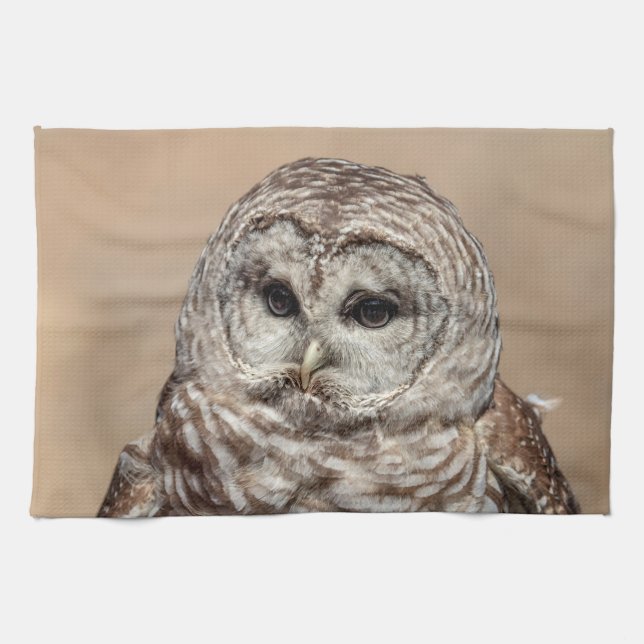 Barred Owl of the Hudson Valley – Nature & Wildlif Tea Towel (Horizontal)