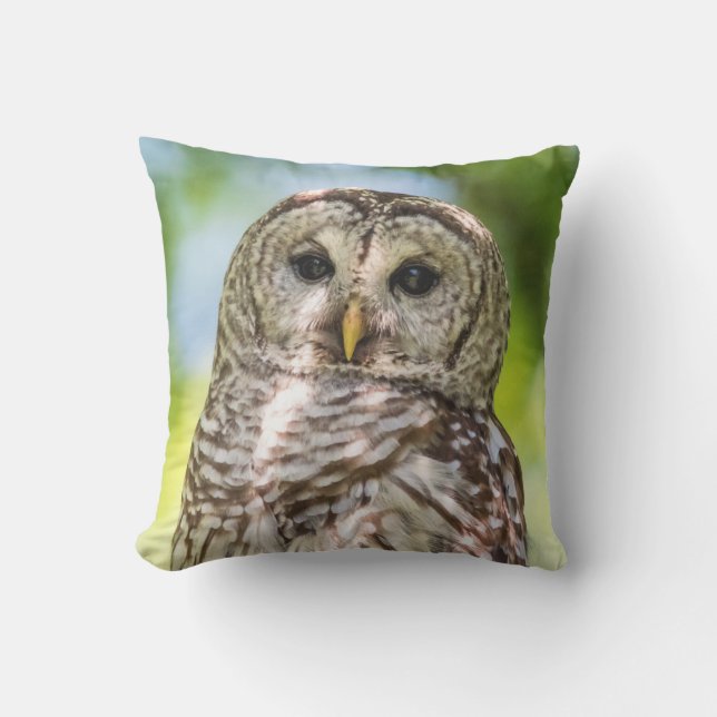 Barred Owl Outdoor Cushion (Front)