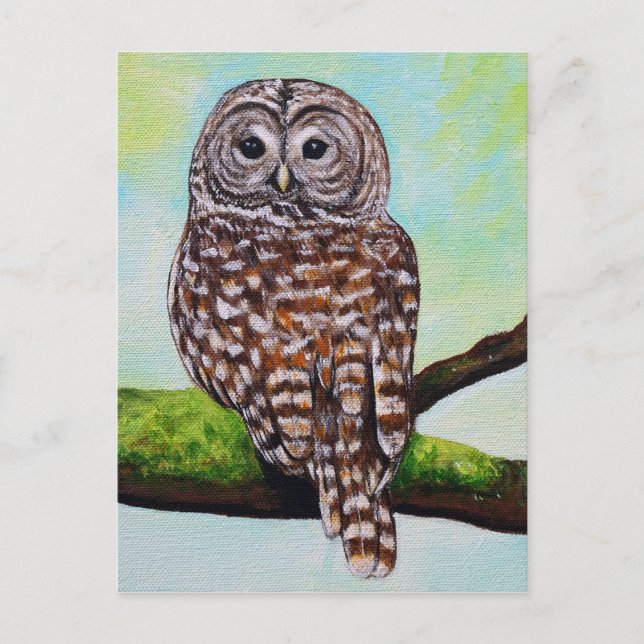 Barred Owl Painting Postcard (Front)