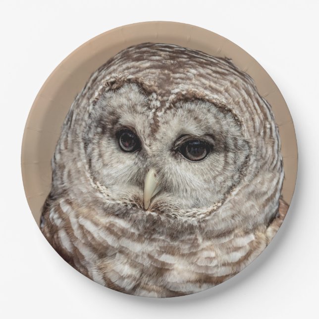 Barred Owl Paper Plate (Front)