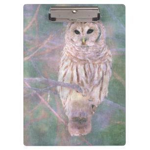 Barred Owl Pastel Digital Oilpainting Clipboard
