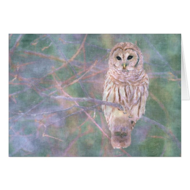 Barred Owl Pastel Oilpainting (Front Horizontal)