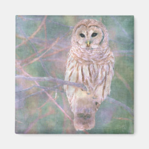Barred Owl Pastel Oilpainting Magnet