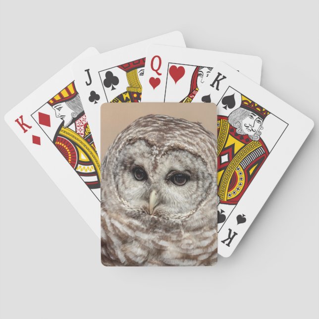 Barred Owl Playing Cards (Back)