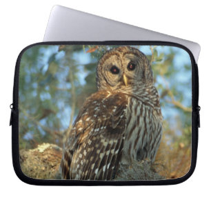 Barred Owl roosting in some Spanish Moss Laptop Sleeve