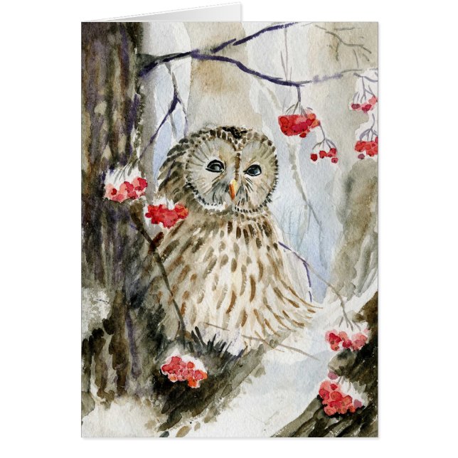 Barred owl snow winter (Front)