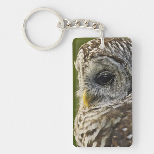 Barred Owl, Strix varia, Michigan Key Ring (Front)
