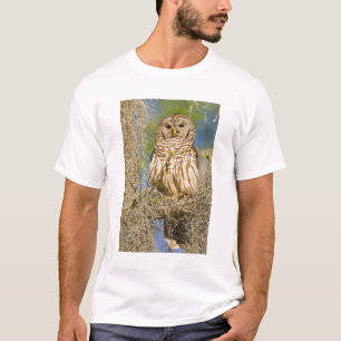 Barred Owl (Strix varia) perched in cypress tree T-Shirt