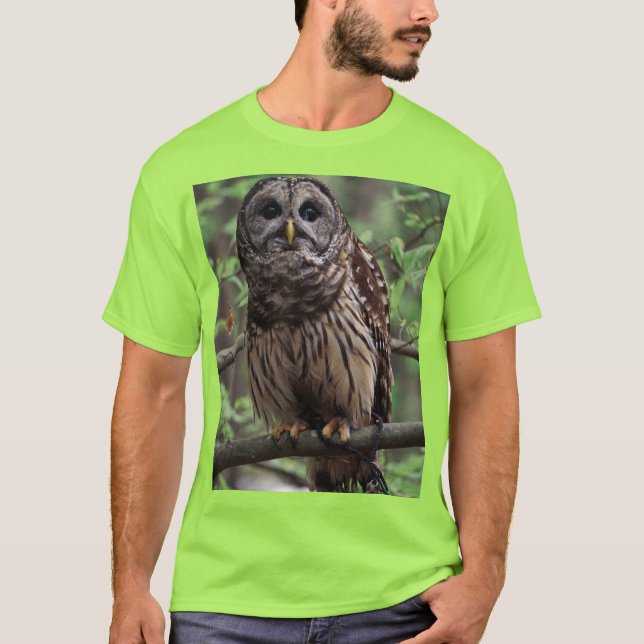 Barred Owl T-Shirt (Front)