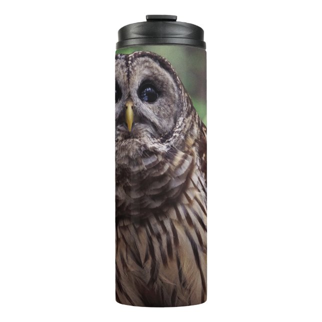 Barred Owl Thermal Tumbler (Front)