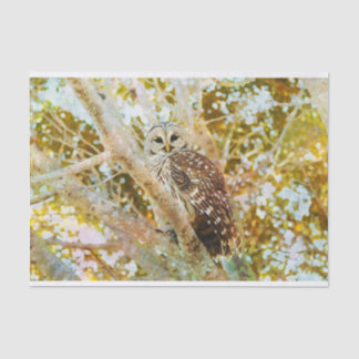 Barred Owl Tissue Paper
