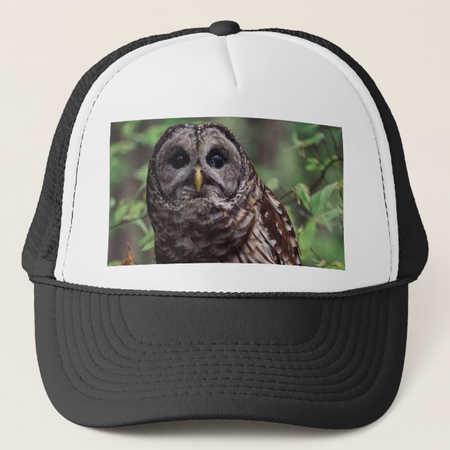 Barred Owl Trucker Hat (Front)