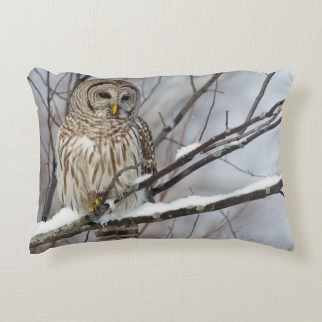 Barred Owl with a light snowfall Decorative Cushion (Front)
