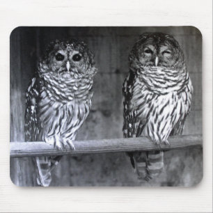 Barred Owls Mouse Pad