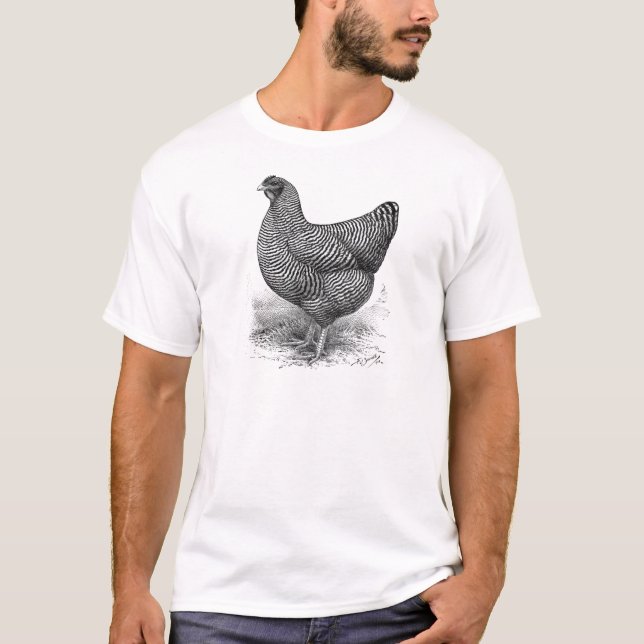 barred plymouth rock hen T-Shirt (Front)