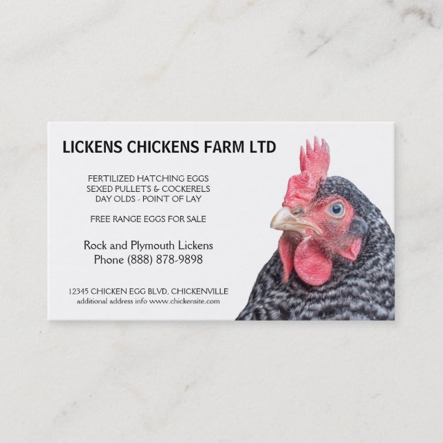 Barred Rock Chicken Egg Farmer Business Card (Front)