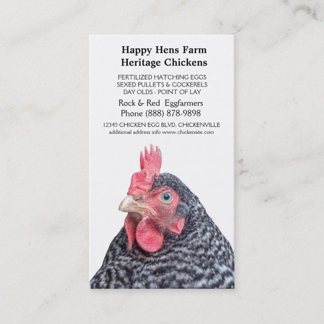 Barred Rock Chicken Egg Farmer Business Card (Front)