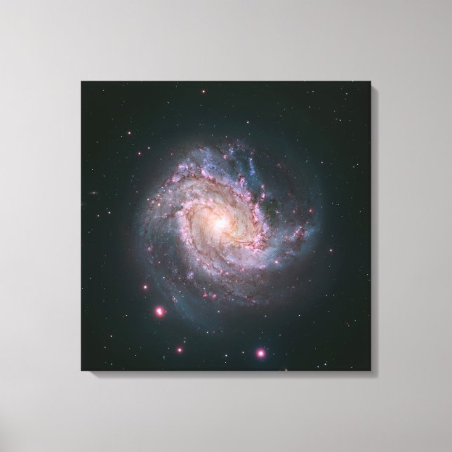 Barred Spiral Galaxy Messier 83. 2 Canvas Print (Front)