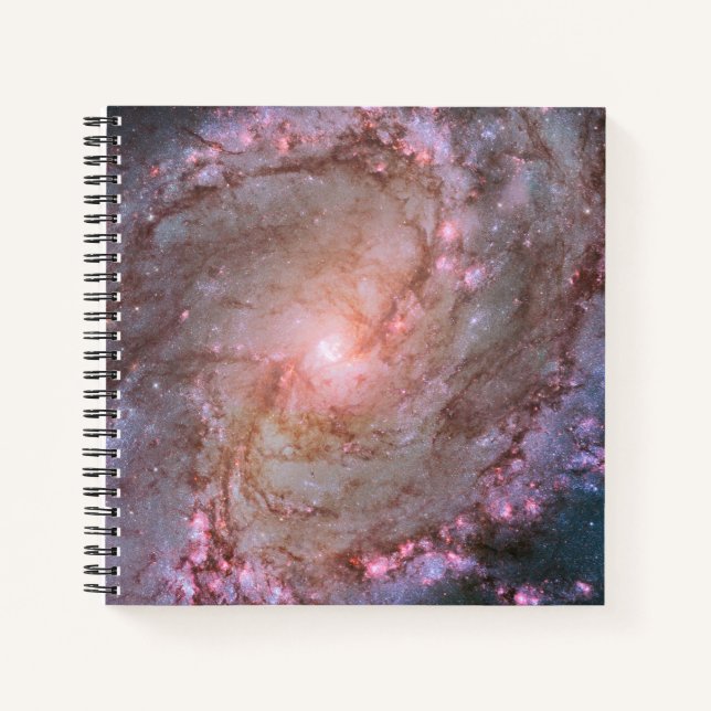 Barred Spiral Galaxy Messier 83. Notebook (Front)