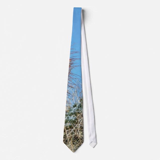 Barrel Cactus A Cactus In Anza Borrego Desert Cact Tie (Front)