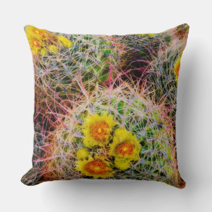 Barrel cactus close up, California Cushion