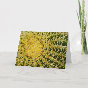 Barrel Cactus Closeup Abstract Nature Photography Card