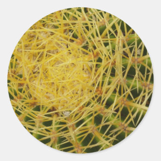 Barrel Cactus Closeup Abstract Nature Photography Classic Round Sticker
