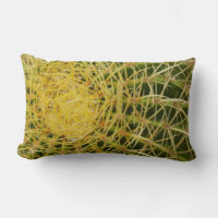 Barrel Cactus Closeup Abstract Nature Photography