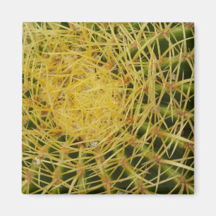 Barrel Cactus Closeup Abstract Nature Photography Magnet