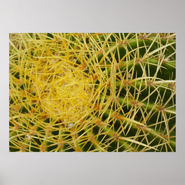 Barrel Cactus Closeup Abstract Nature Photography Poster (Front)