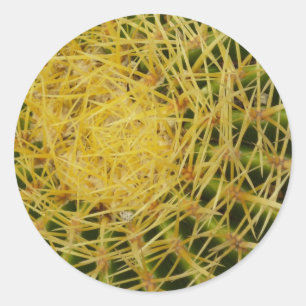 Barrel Cactus Closeup Nature Photography Classic Round Sticker