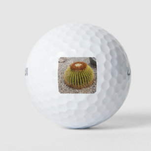 Barrel Cactus Golf Balls