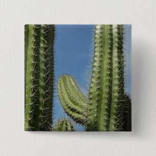 Barrel Cactus I Desert Photo 15 Cm Square Badge