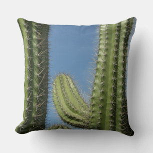 Barrel Cactus I Desert Photo Cushion