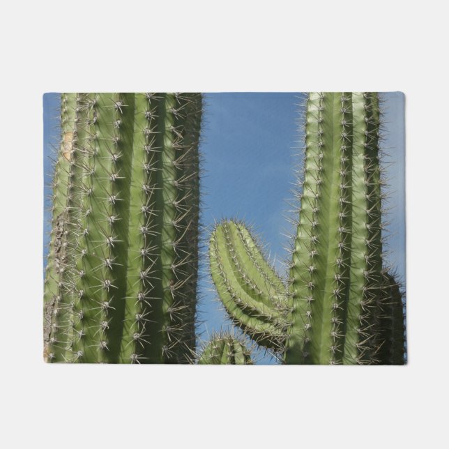 Barrel Cactus I Desert Photo Doormat (Front)