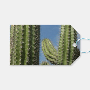 Barrel Cactus I Desert Photo Gift Tags