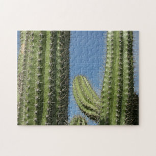 Barrel Cactus I Desert Photo Jigsaw Puzzle