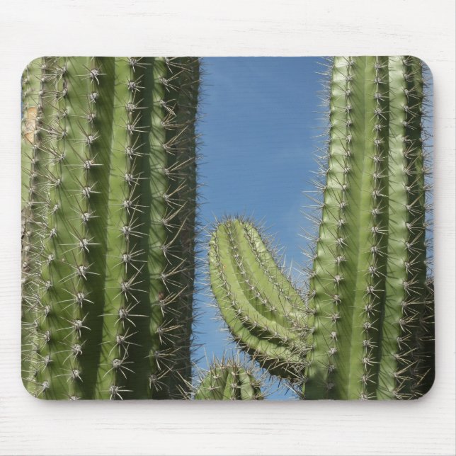 Barrel Cactus I Desert Photo Mouse Pad (Front)