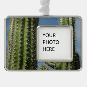 Barrel Cactus I Desert Photo Silver Plated Framed Ornament