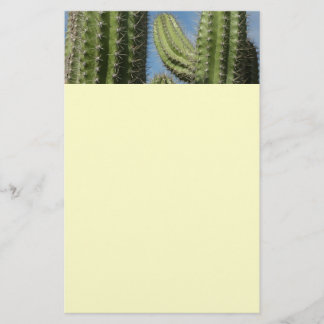 Barrel Cactus I Desert Photo Stationery