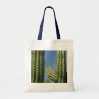 Barrel Cactus I Desert Photo