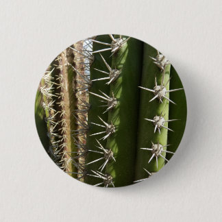 Barrel Cactus II Desert Nature Photo 6 Cm Round Badge