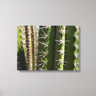Barrel Cactus II Desert Nature Photo Canvas Print